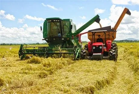 Avanza recolección de la cosecha arrocera, que garantiza el arroz que el país necesita