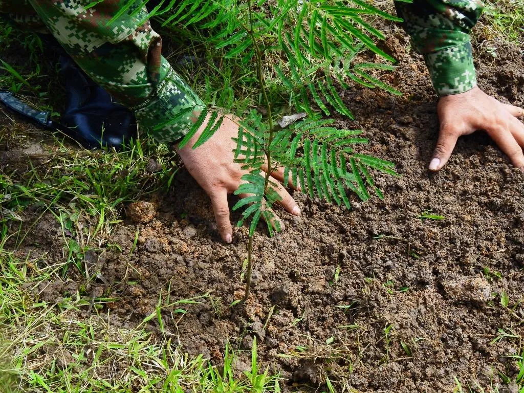 Ejército Nacional ha liderado importantes proyectos de protección y preservación del medio ambiente en 