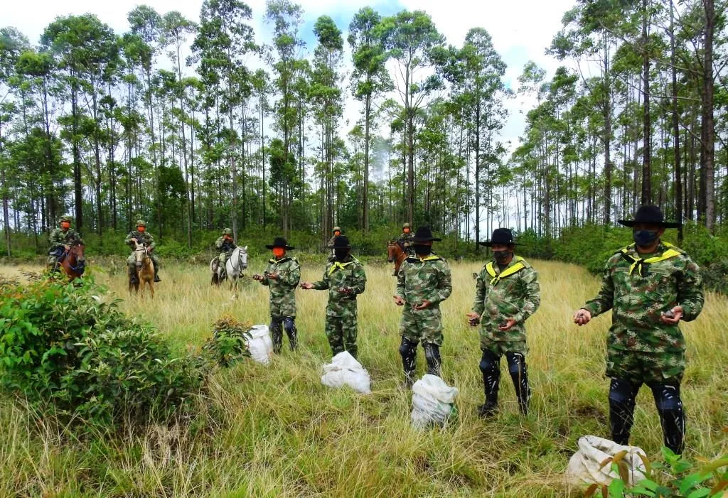 “Lluvia Verde” llegó con 22.000 semillas de árboles nativos a Orocué                          