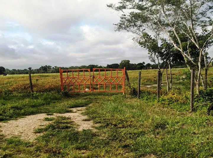 Una persona fue asesinada y otra resultó herida en un hecho registrado en Hato Corozal