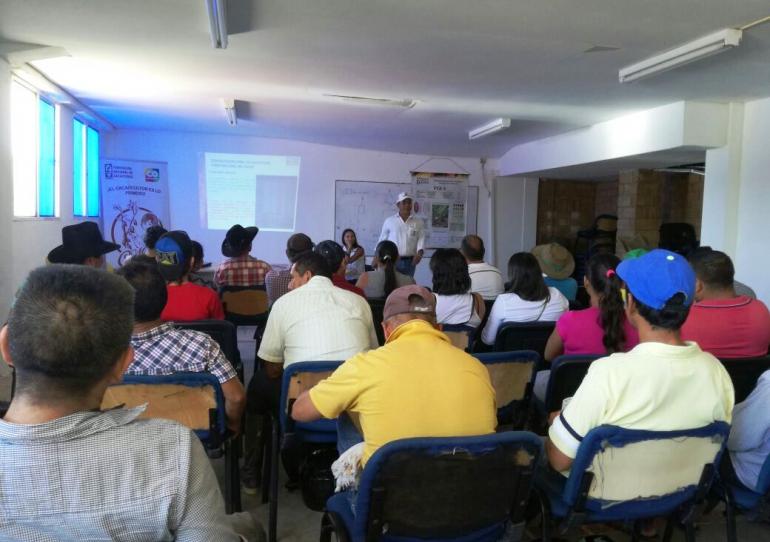 Agricultores y administración de Hato Corozal trabajan en el fortalecimiento del Cacao 