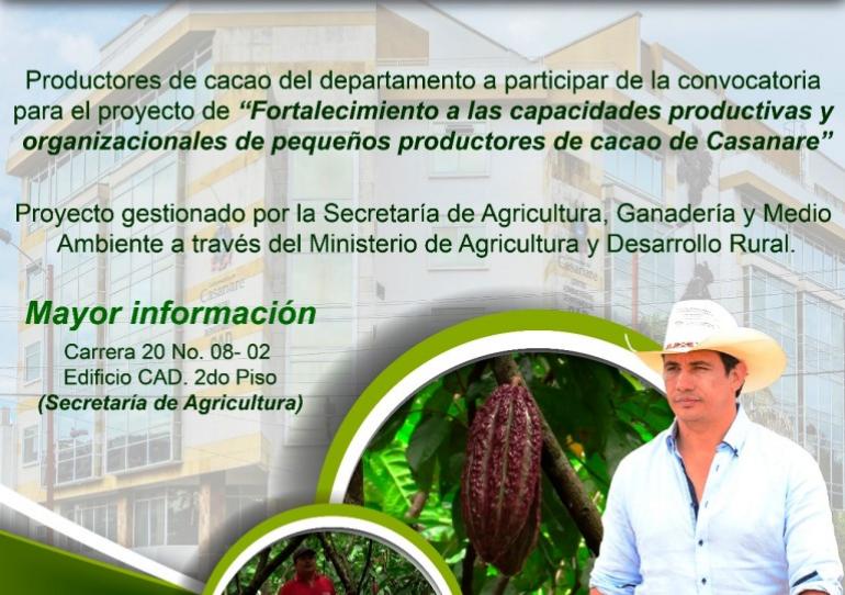 Gobernación de Casanare abre convocatoria para productores de cacao del Departamento