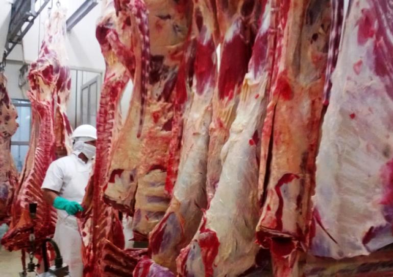 Casanare tendrá su propio Frigorífico gracias a inversionistas privados