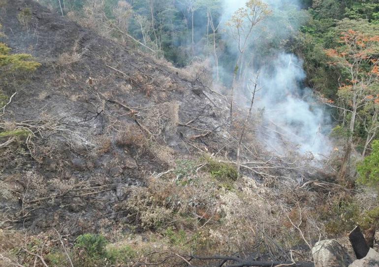 Alerta Roja en 13 municipios de Casanare por amenaza  de incendios forestales 