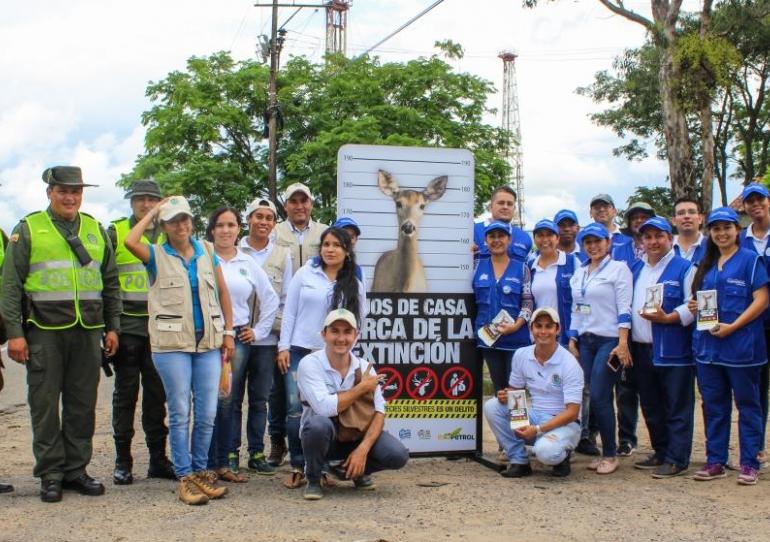 Importantes avances del Comité de control y vigilancia al tráfico ilegal de fauna y flora en Casanare 