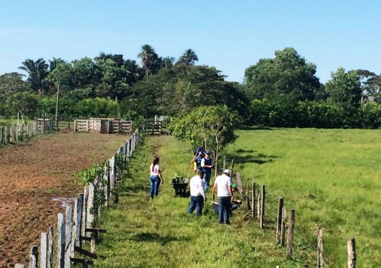 Exitosa jornada de siembra de plantas en la celebración del día mundial del árbol